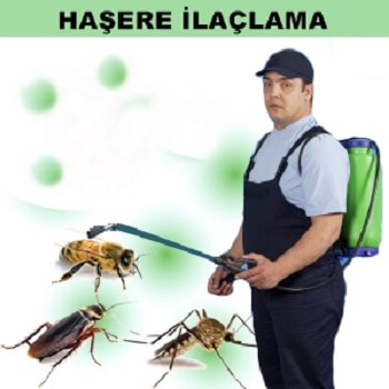 Çınar Böcek İlaçlama